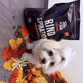 mia_bolonkaprinzessin