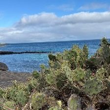 natalie_loves_running