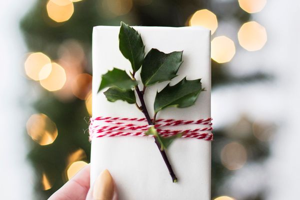 Angel Juicer Entsafterbibel (im Wert von 25 Euro) mit Code WILDTHING