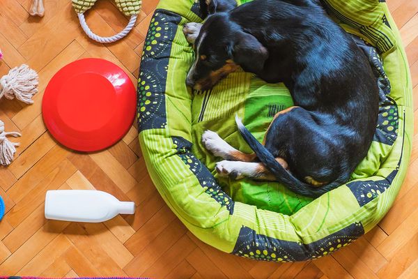 25 % Rabatt – Code: Kindeshalb