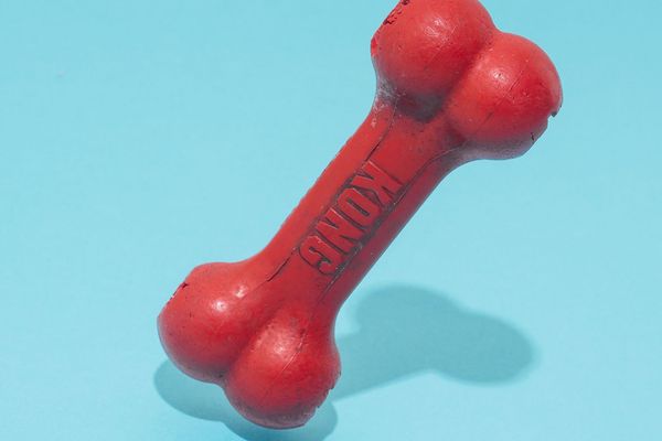 30 % Rabatt auf alles bei Talesntails